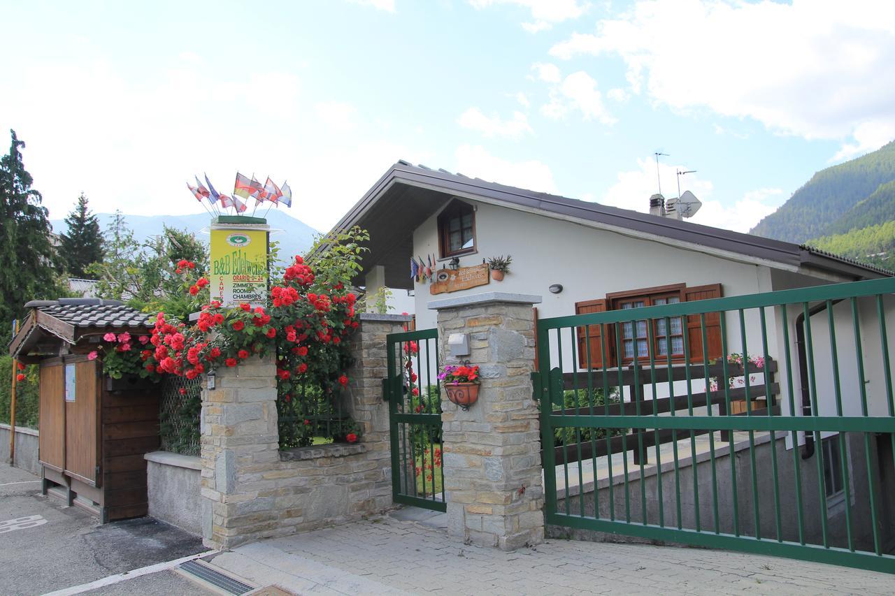 B&B Edelweiss Oulx Exterior photo
